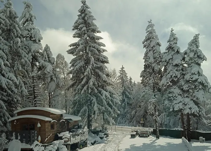Chalet grenouille