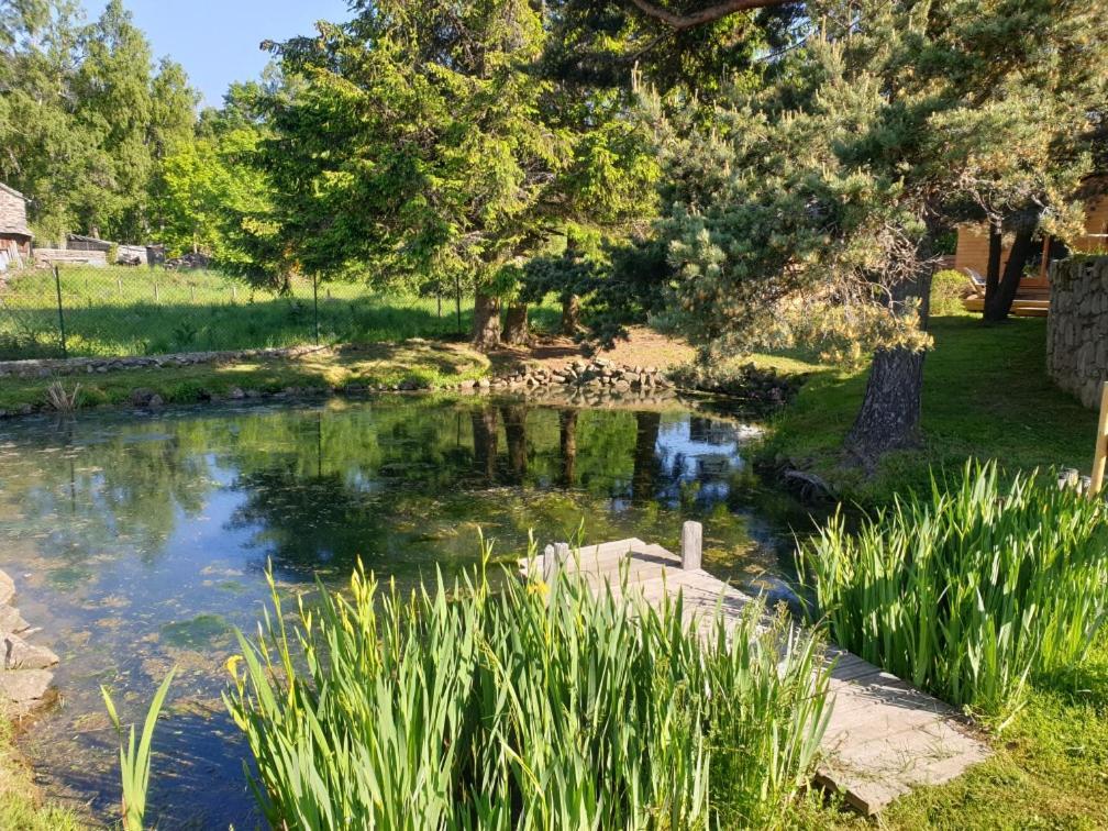 Grenouille Vakantiehuis