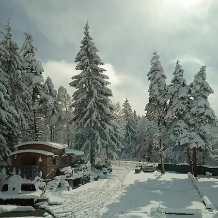 Chalet Grenouille Domaine De La Mamounette Champclause Exterior photo