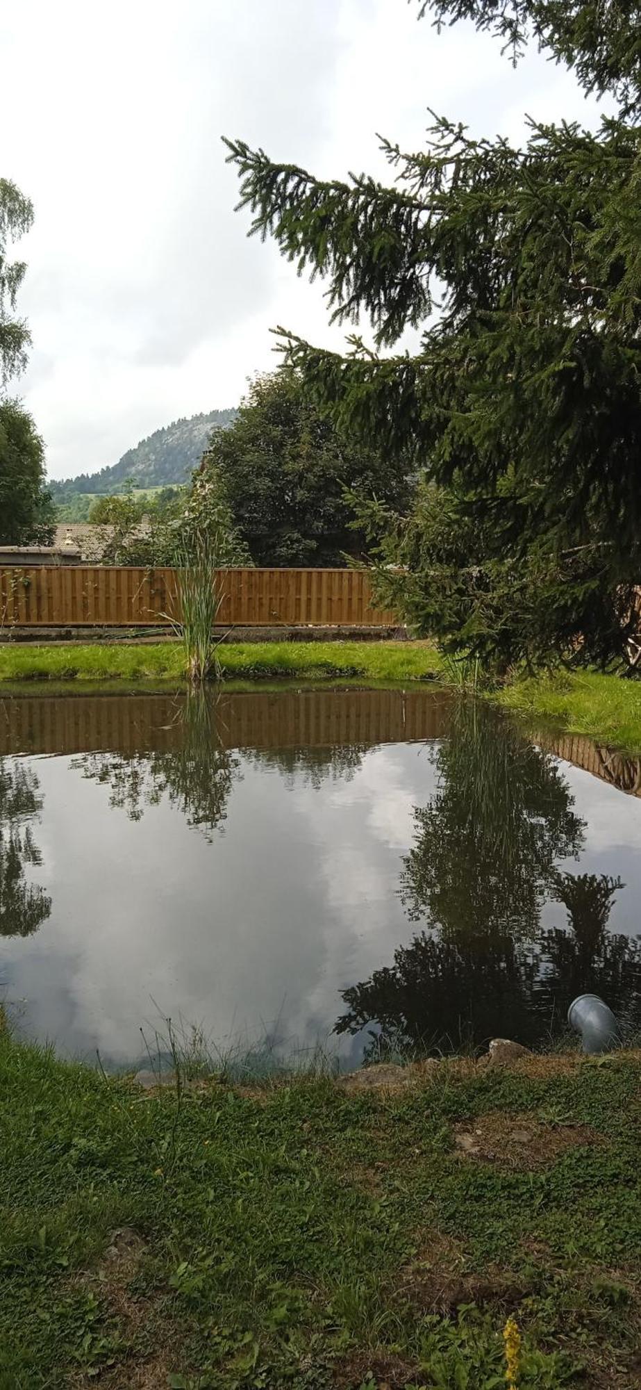 Vakantiehuis Grenouille