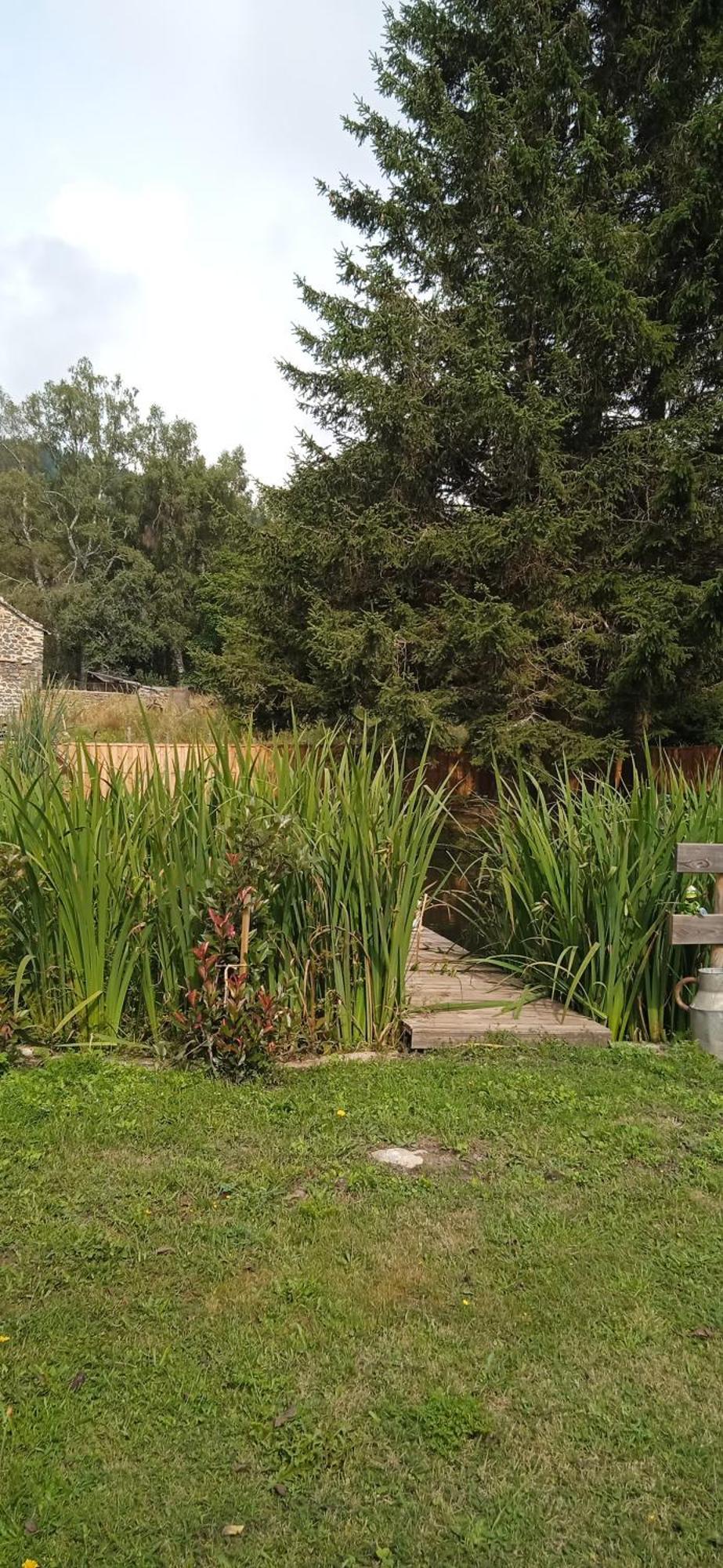 Grenouille Vakantiehuis